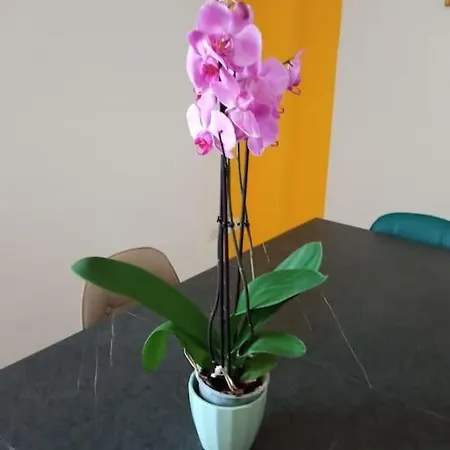 A Casa Di Gi Alojamento de Acomodação e Pequeno-almoço Porto Torres