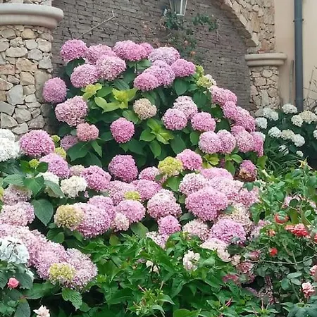A Casa Di Gi 3*