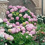 A Casa Di Gi 3*